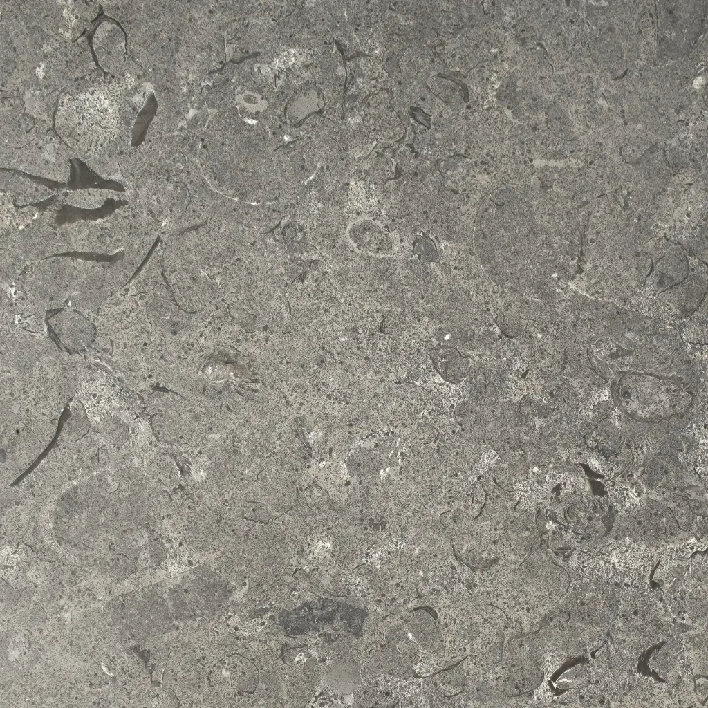 Fossil Grey - Polished 1 (2)