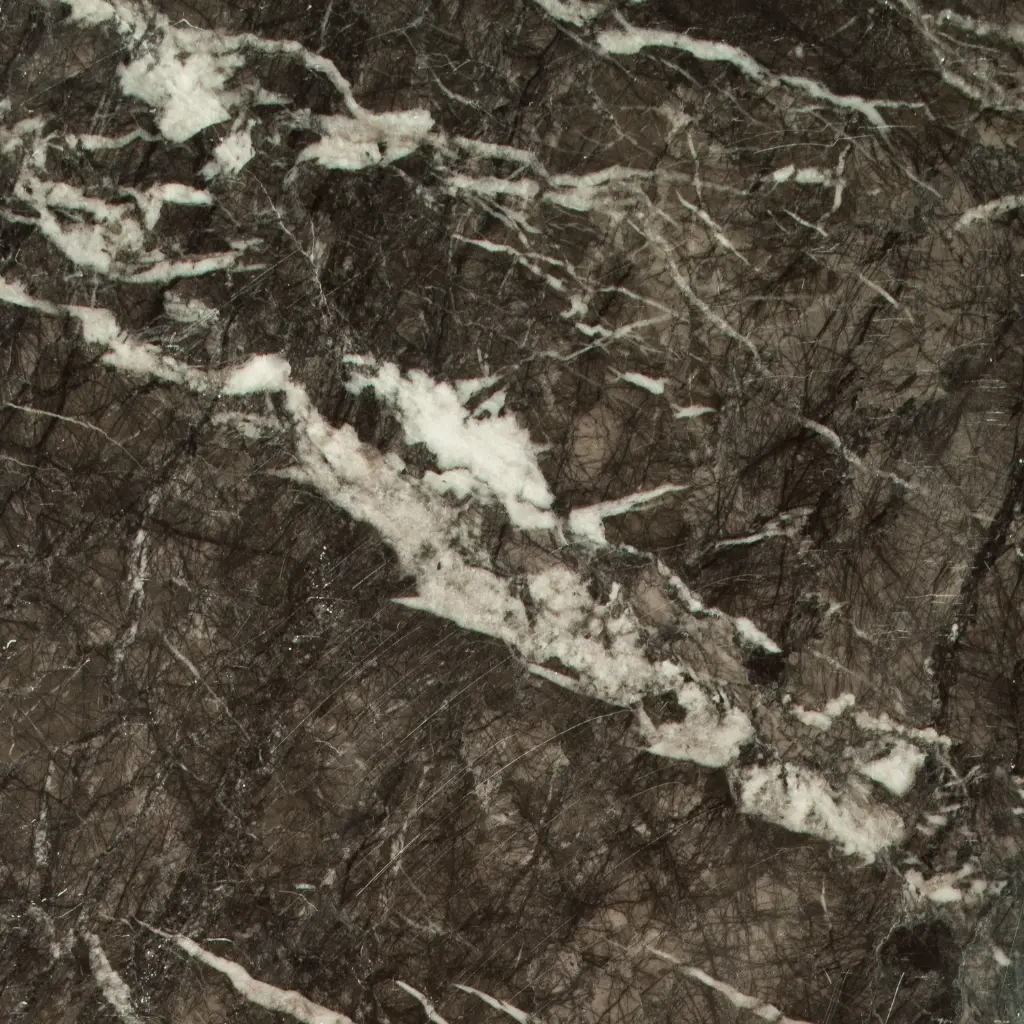 Grigio Carnico - Polished 1